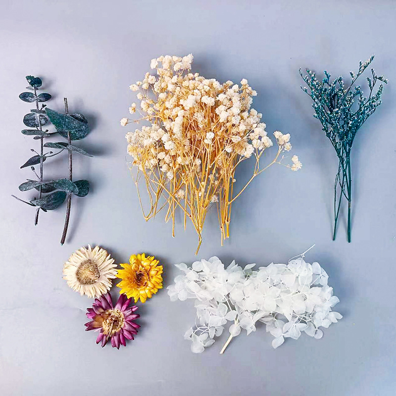 Craft Embellishment - 1パック多種多様なドライフラワーセットDIYクラフトホームウェディングデコレーションリアルタッチジプソフィラ小束装飾ギフト
