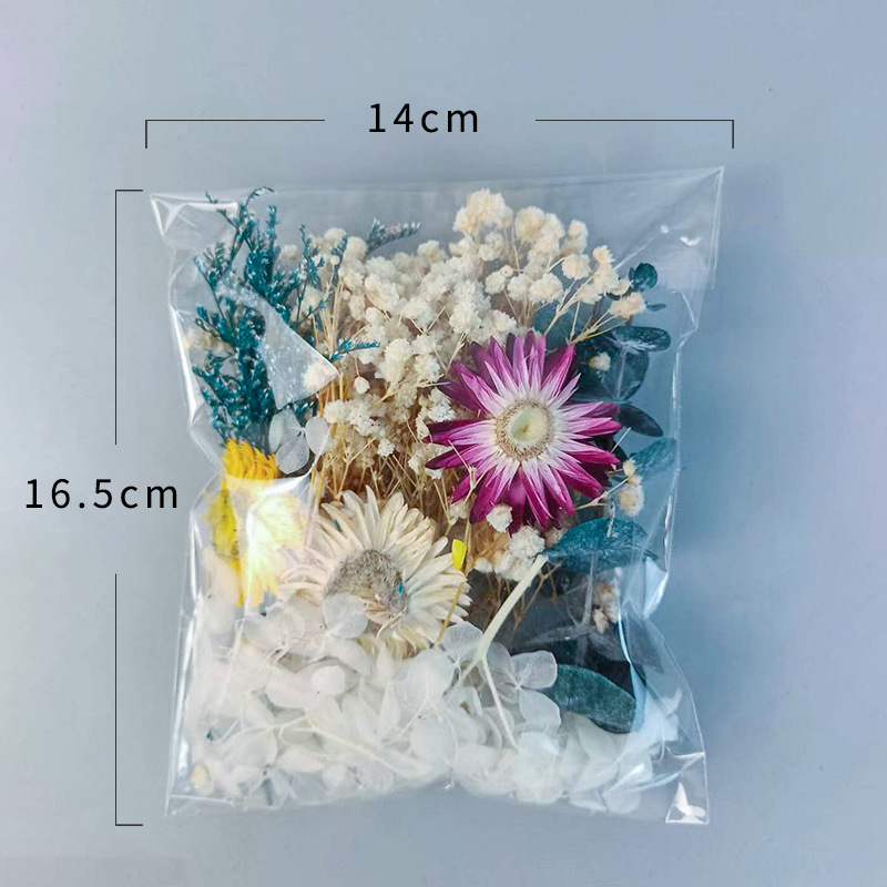 1パック多種多様なドライフラワーセットDIYクラフトホームウ - Craft Embellishment のレビューと価格